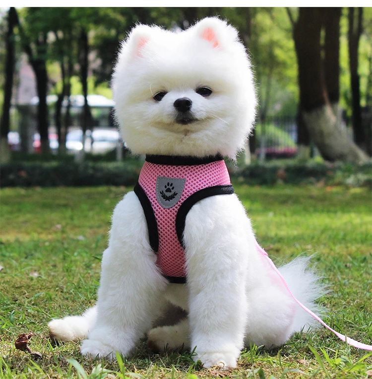 Nylon Personalized Chest Strap Pets Vest Dog Harness Training for Puppy Cats Soft Mesh Pet Harness