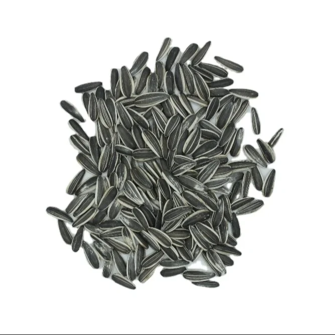 Roasted Sunflower Seeds  Mouth Friendly Recipe for All Day Snacking Chinese Factory In Bulk