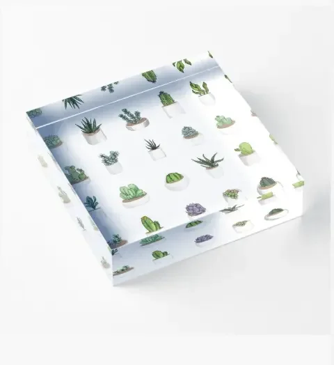 Custom Acrylic Products Brand Acrylic Block Store Display Logo Name Logo Office Decoration