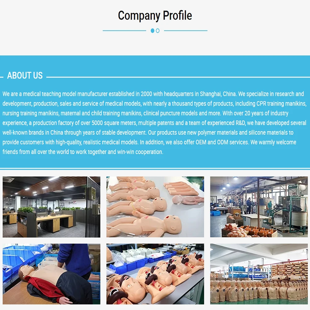 DARHMMY Adult CPR Manikin Model Full Body Medical Dummy Mannequin  with Controller for First Aid Training