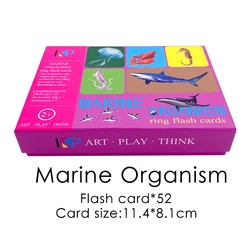 Customize Your Own 300gsm Black Core Paper English Flash Printing Playing Cards For Children Flashcard