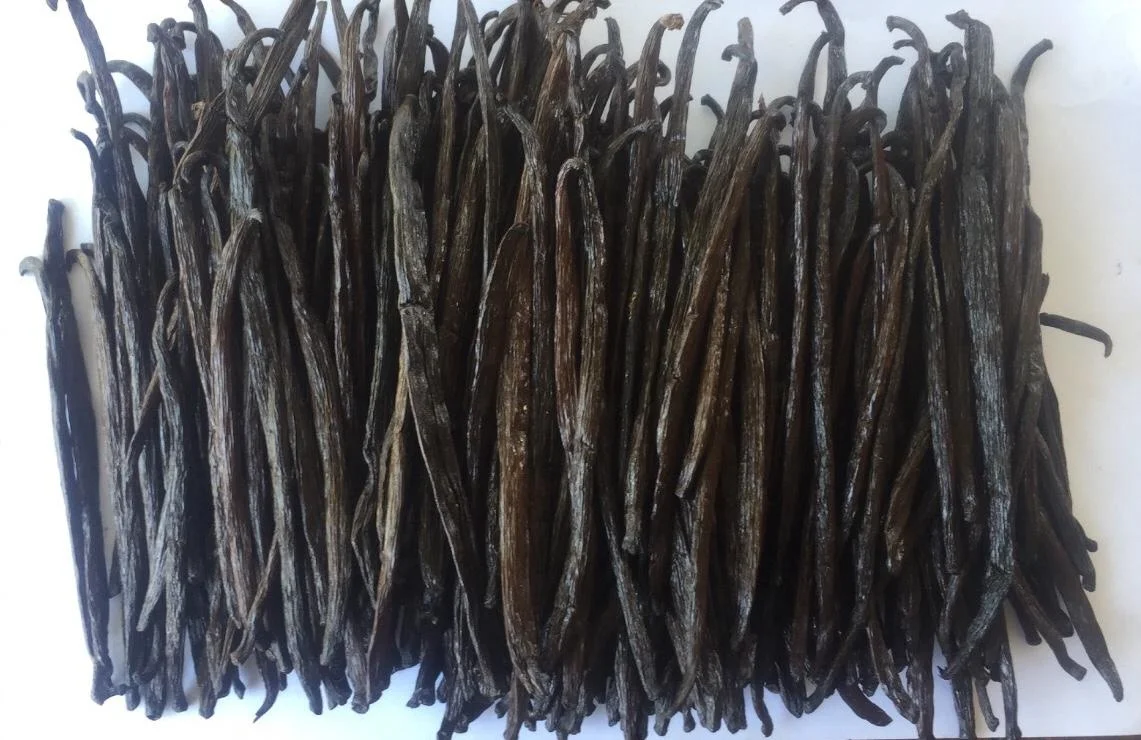 RENDAH PLANIFOLIA GRADE-2 16-17CM VANILLA BEANS for EXTRACTION Best Quality Indonesian Hot Selling Bourbon Reasonable Best Price