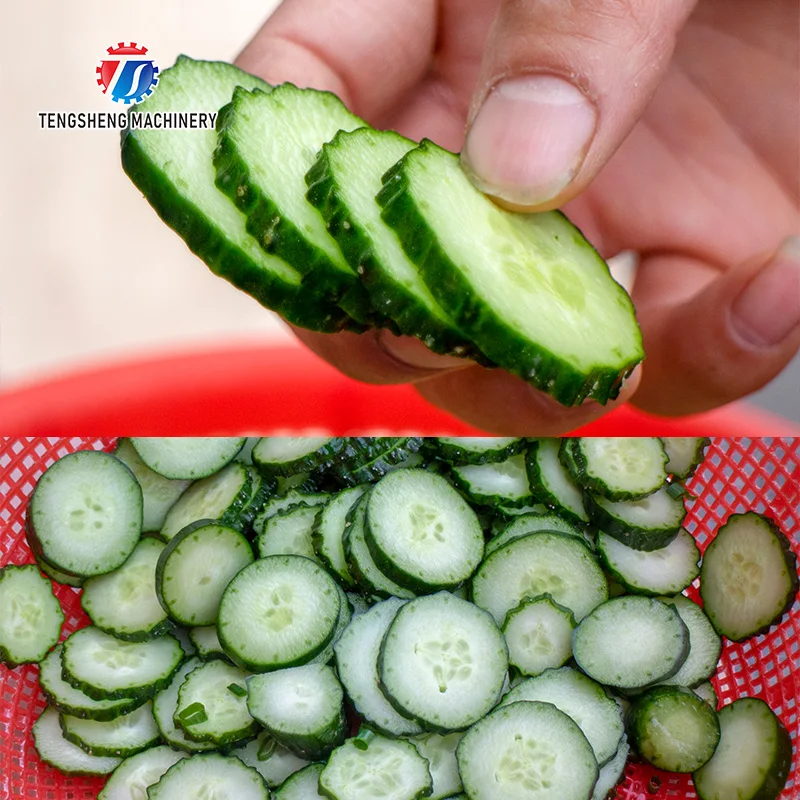 Table Vegetable Cutting Cutter Green Chilli Circles Scallion Cutting Machine with Conveyor Belt  (TS-Q30)