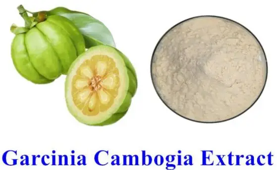 
Good Price Garcinia Cambogia Capsules Raw Materials Cambogia Garcinia Extract Vegan Cambogia Garcinia Adult 