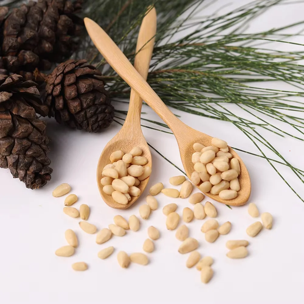 Hot Selling Pakistani Chalghoza Pine Nut Kernels at Wholesale Cheap Price