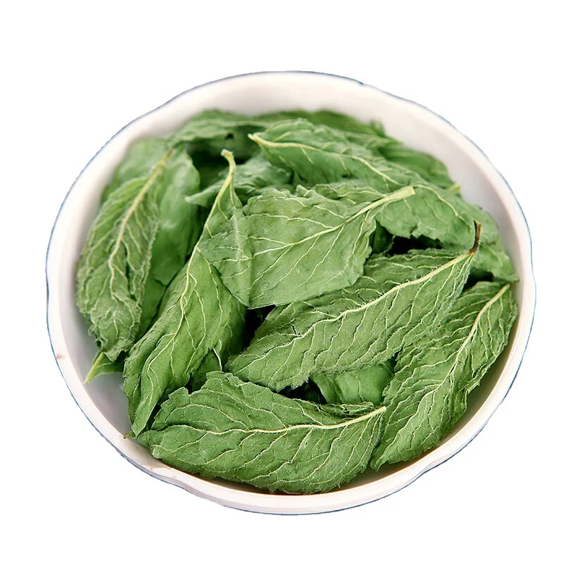 Tea supplier the natural mint leaf tea dried herb tea