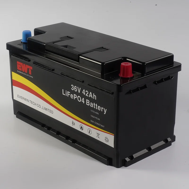Dustproof and Waterproof 36V 42Ah Lithium LifePo4 Battery Pack Supply RV Power Equipment