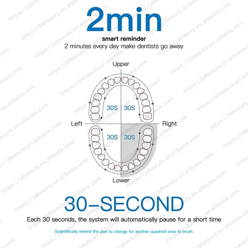 Wholesale PT4S Adult Slim Waterproof Automatic Sonic Electric Vibration USB Charging Rechargeable Toothbrush OEM