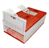 Racing Pigeon Transporter For Sale