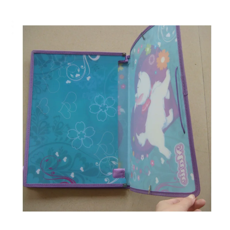 custom printing plastic expanding file