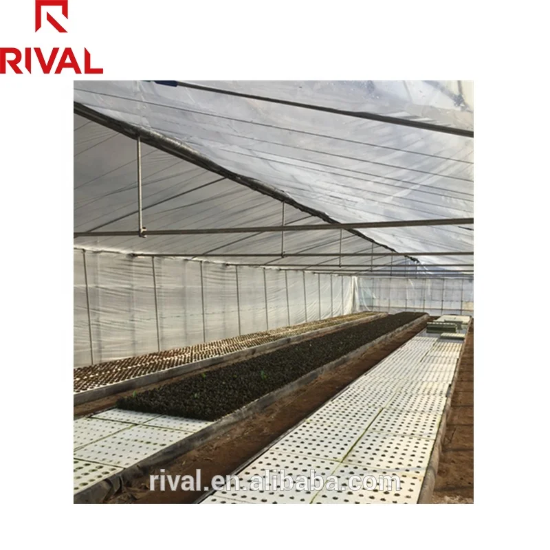 Agricultural greenhouses Commercial Clear Poly 200 micron greenhouse plastic film for greenhouse