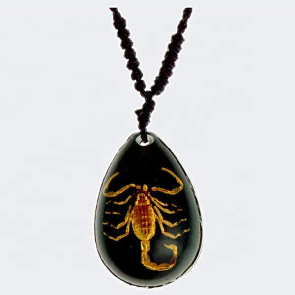 unique special gift resin insects scorpion necklace