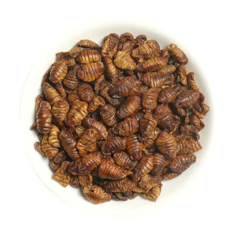 Dried Silkworm Pupae Silkworm for Animal Feed