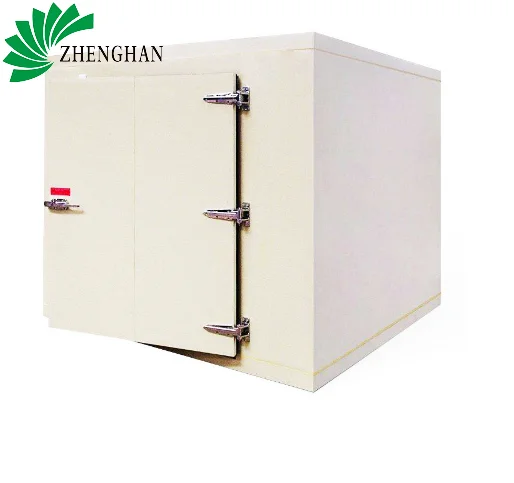 vegetable and fruits cold storage room by china supplier