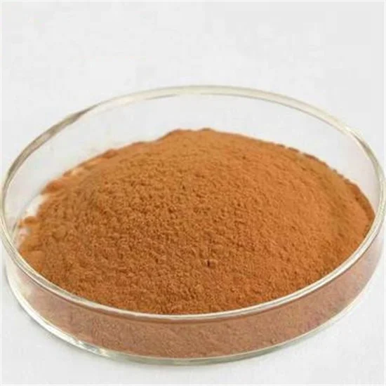 
Top Level Completely Natural Corn Silk Stigmata Maydis Extract 
