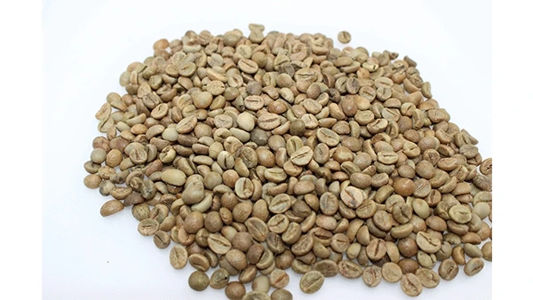 
60 Kg Jute Bag packing Arabica and robusta coffee beans 