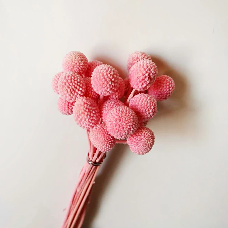 
Christmas Wreaths Decorations Preserved Flower Material for Flower Arrangement 