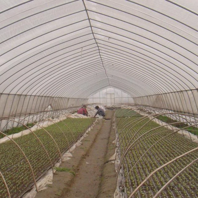 single span tunnel  greenhouse with  plastic film