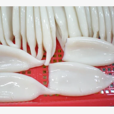 Squid Tube Argentina Squid U5 U7 U10 Frozen Squid Meat