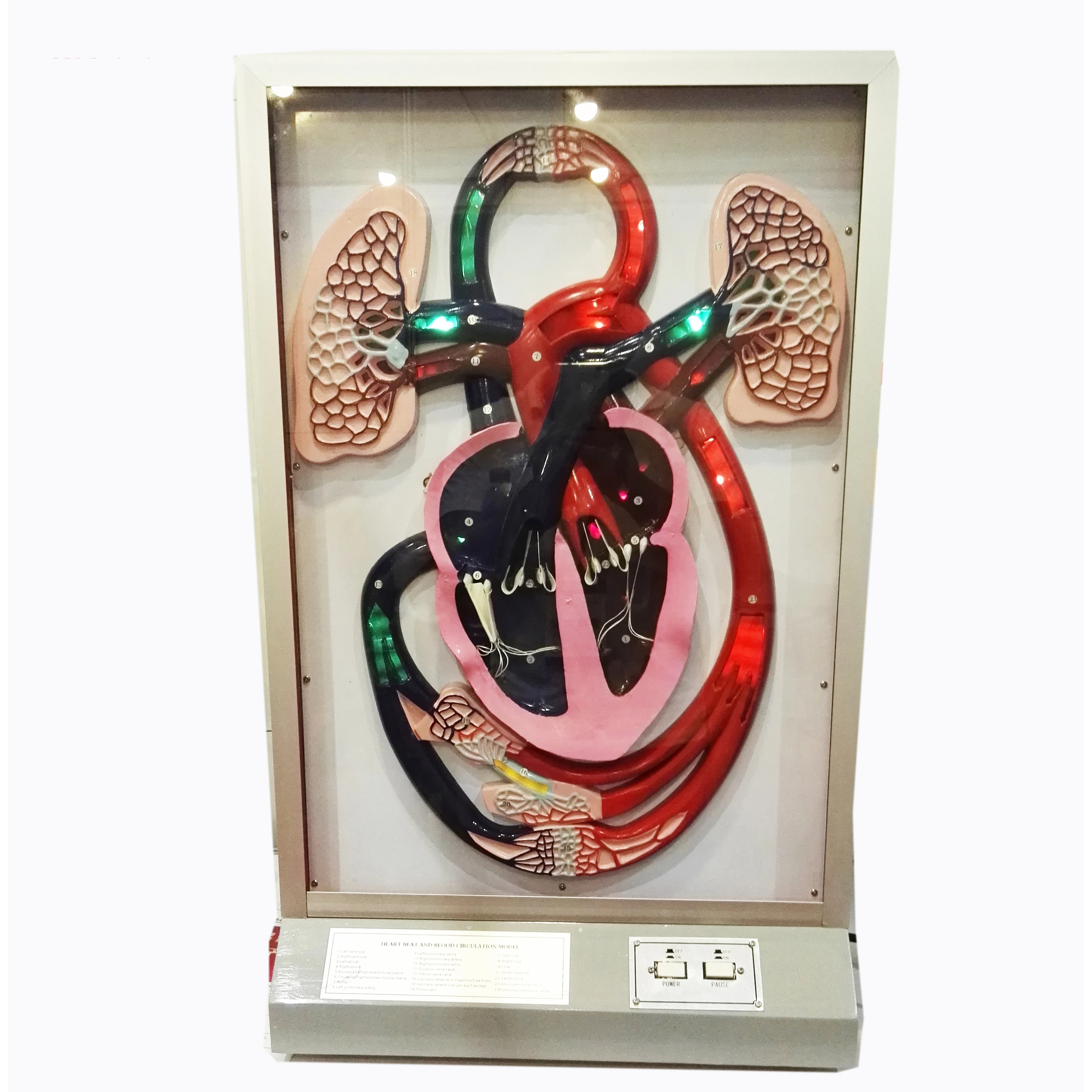 GelsonLab HSEM-002  Electrical Blood Circulation Model Electrical Model of heart pulse and blood circulation