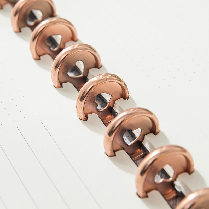 planner disc, bound disc,disc bound planner