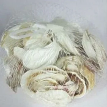 Подарки и поделки природа Морская раковина