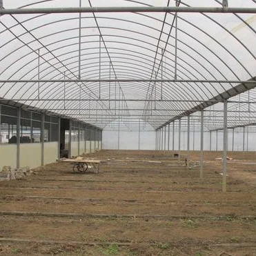 Economical Poly tunnel Plastic Film Agricultural Greenhouse Morocco for Vegetable Planting