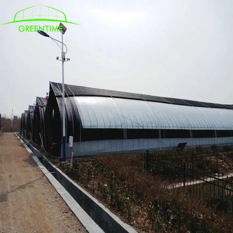Commercial plastic greenhouse mushroom farm plastic greenhouse of agriculture equipment