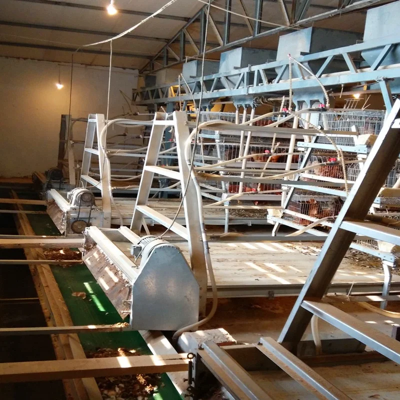 Wire mesh for chicken coop/China poultry coop