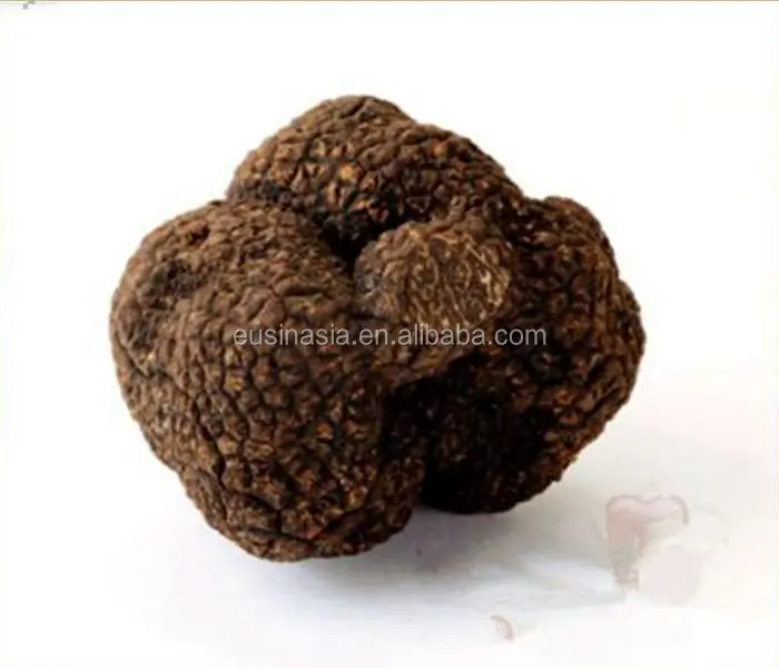 
 Новый урожай свежих трюфельных клубней индийского на продажу  