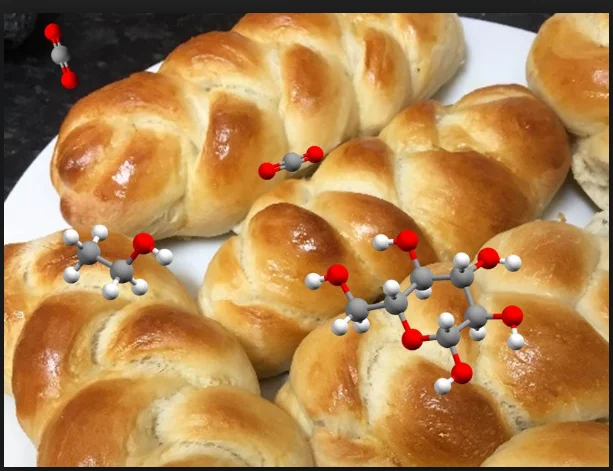 dry Yeast production line  /Insulin / Vaccine /Antibiotics/  Lysine production line