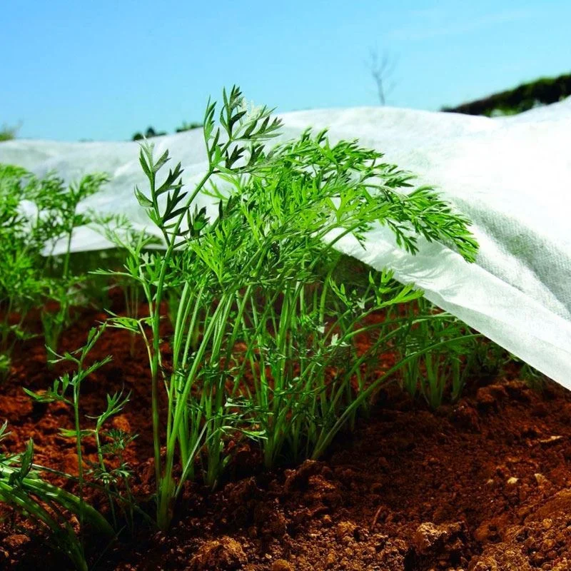 22gsm max 36m uv treatment non woven fabric for agriculture uv resistant protection crop