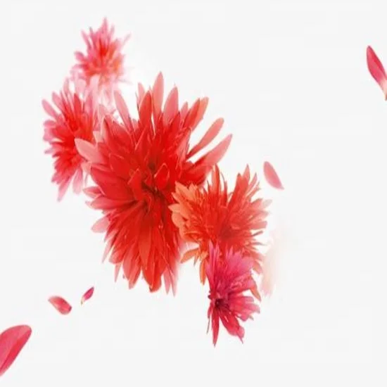 
ISO Extract Rhodiola rose extract 1%-10% Salidroside 