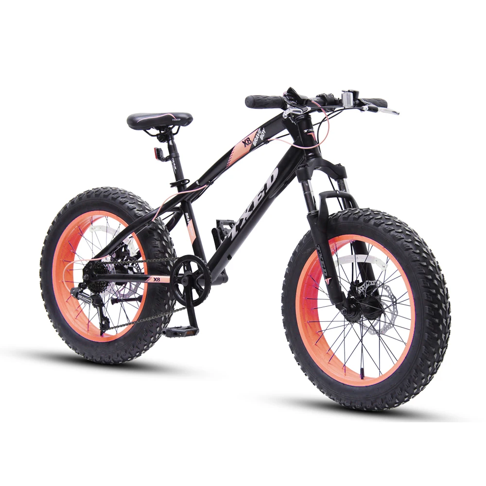 MTB now model mountain snow Bike With Fat Tire