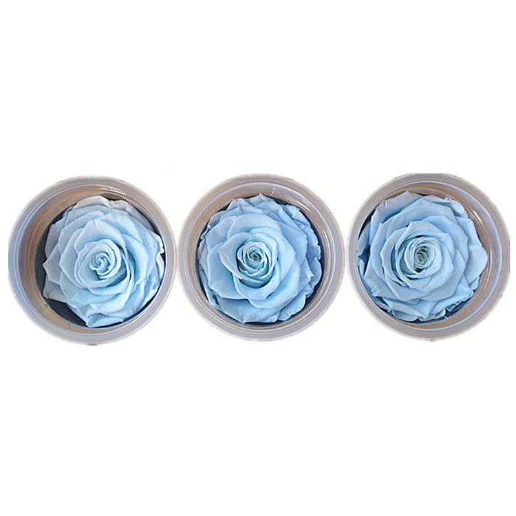 6-7 cm Wholesale preserved real long lasting roses heads