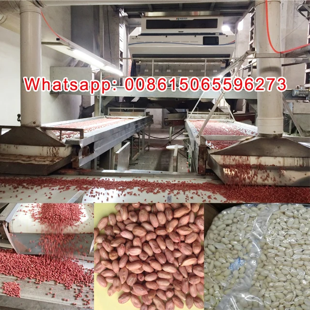 China shandong silihong red skin peanuts kernels 40/50 50/60 60/70 80/100