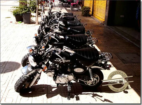 
SKYTEAM E5 50cc 125cc E4 SKYMINI motorcycle monkey bike(EEC EURO5 APPROVED) 