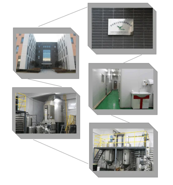 
Astragalus Membranaceus(fisch.)bge. Astragalus Extract Powder 20:1 