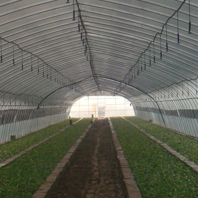single span tunnel  greenhouse with  plastic film