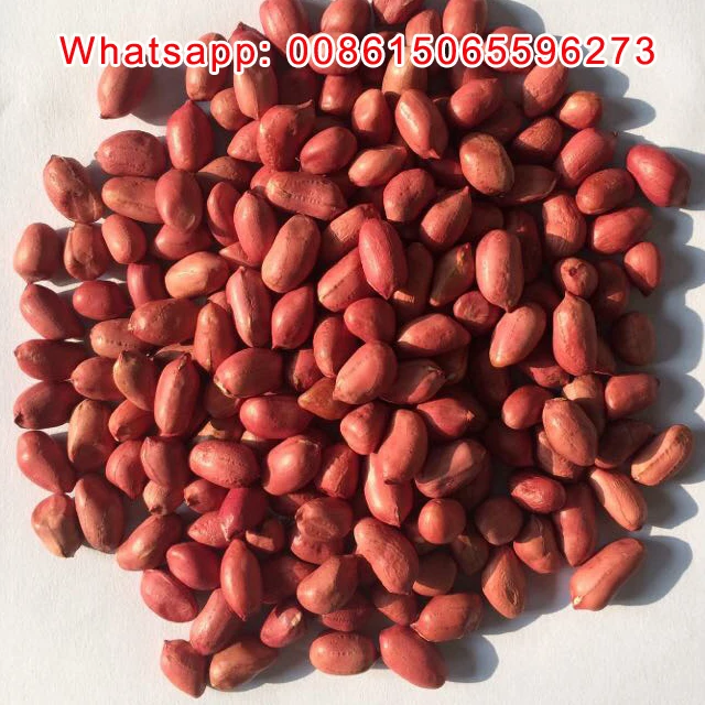 China shandong silihong red skin peanuts kernels 40/50 50/60 60/70 80/100