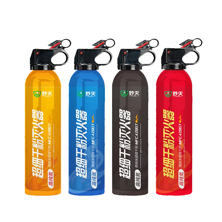 500G dry powder type car mini fire extinguisher