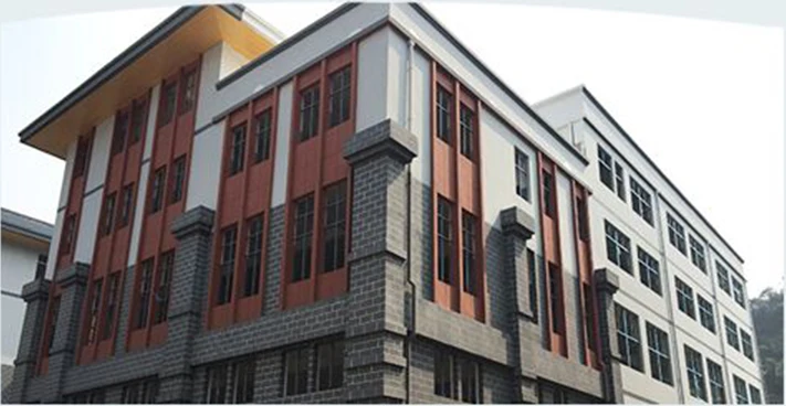 Top sale fashion professional design plastic and wooden children tongue depressor