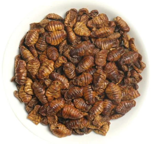 Dried Silkworms / Silkworm Pupae