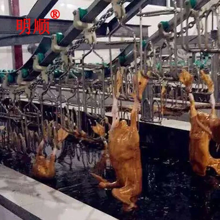
chicken butchery plant for boiler chicken / duck processing line plant /automatic duck slaughter equipment 