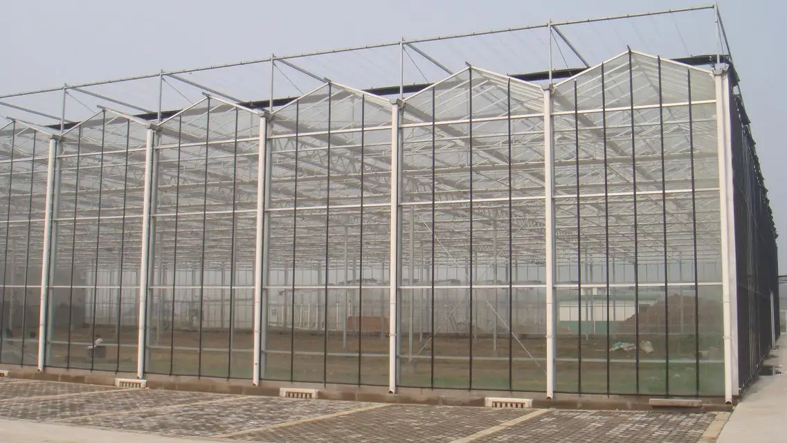 
long life multi span polycarbonate sheet greenhouse 10mm 
