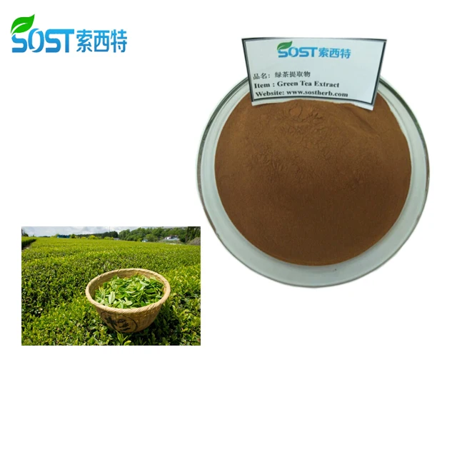 
Organic Green Tea Extract Powder 84650-60-2 with 10%-98% Tea Polyphenols 
