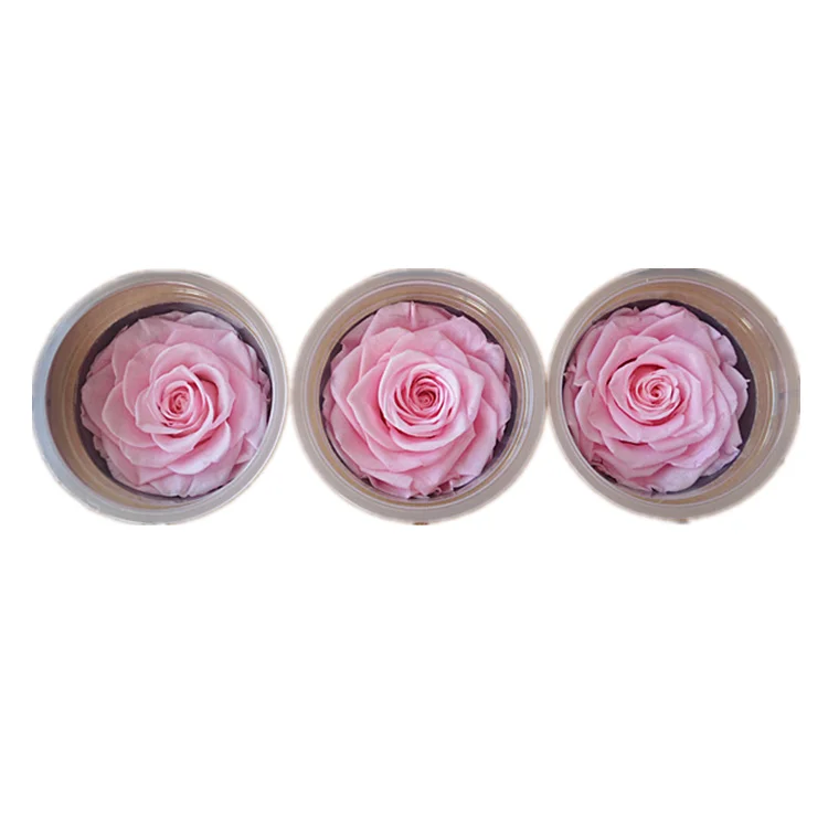 6-7 cm Wholesale preserved real long lasting roses heads
