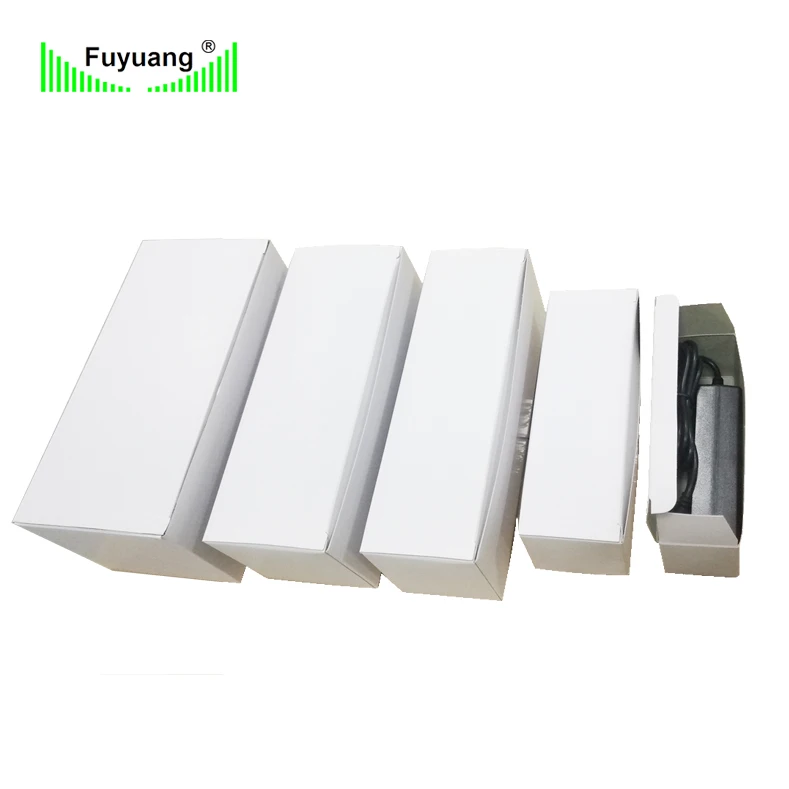 Fuyuan battery charger 12v li-ion battery charger with customizable plug