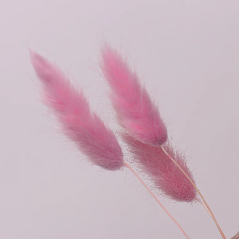 
Dried plants and flowers ornament floral dried tail grass dried flower 