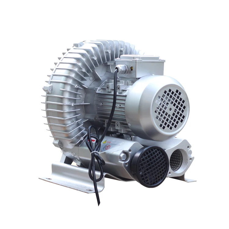 High Pressure 220V Swimming Pool Double Stage Air Pump  Blower For Vacuum Fish Pond Farm Tank Aquaculture,Types Of Air Blower